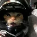 d4rk.thoughtss avatar