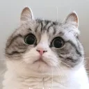 Аватар krekerenok