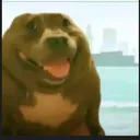 random_guy_pew