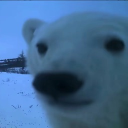 avatar ✝𝓓𝓸𝓿𝓮౨ৎ✝