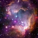 mw051789.2