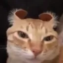 snouze4918