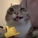 myko_