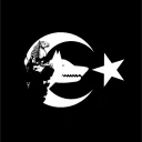 50.asim.50
