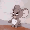 bauaa_v