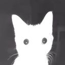 avatar 𝑨𝒓𝒊𝒂