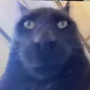 Аватар mrpencil100