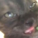 avatar hornetstabber