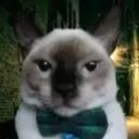 dkmr22 avatar