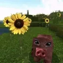 jgkq