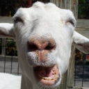 F364230241126752be76f62c87247fa0