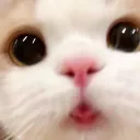 milkyh