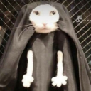 avatar Sopa de Cucaracha 🪲