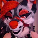 moxxiexix
