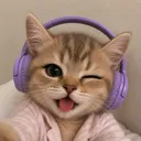 hrsmgs