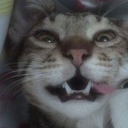 avatar 𝕊𝕠𝕣𝕟𝕪 ™