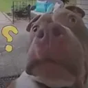 edgar237070 avatar