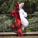 fluffyfennec.