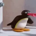 .v0xd