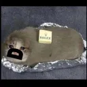 katzenbutter
