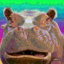 wokkopotamus