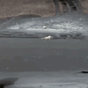 avatar ⛐ Meyu 🍷