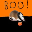 unanymouse