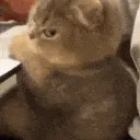 debugsy