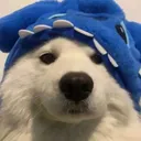 manejj