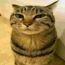 Discord Avatar