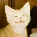 avalanche_ong avatar