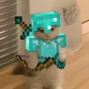 lobox49 avatar