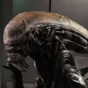 avatar Goofyahhpaleofan