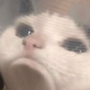 avatar Bazookaaa Lulu