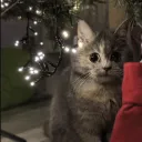 fluffy_beanie