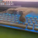 berzzz_01