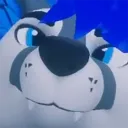 dexterdownunder