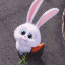 Discord Avatar