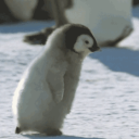 kwisatz___haderach#2628's avatar