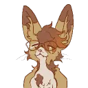 curiouskibble