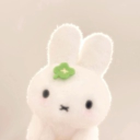 avatar bunny ♡