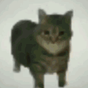 azeryth