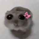 avatar ~ℙ𝕣𝕚𝕟𝕔𝕖♡ℕ𝕖𝕜𝕠~