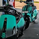 m3fkees