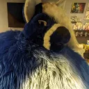 sugarmuffinsofficial