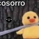 __papitafrita__