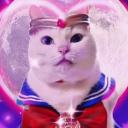 avatar I'm Prada, you're Nada