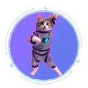 sayeed_kitten