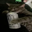 Аватар cinapik