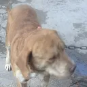 hacker_azno5645 avatar